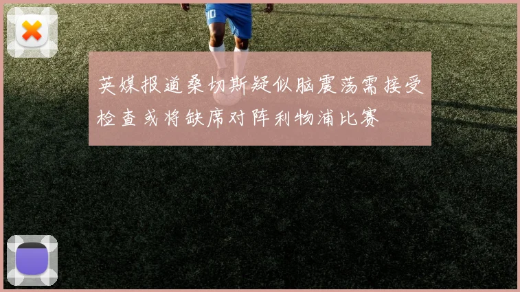 英媒报道桑切斯疑似脑震荡需接受检查或将缺席对阵利物浦比赛
