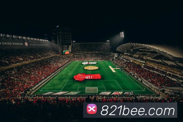 奖项证书